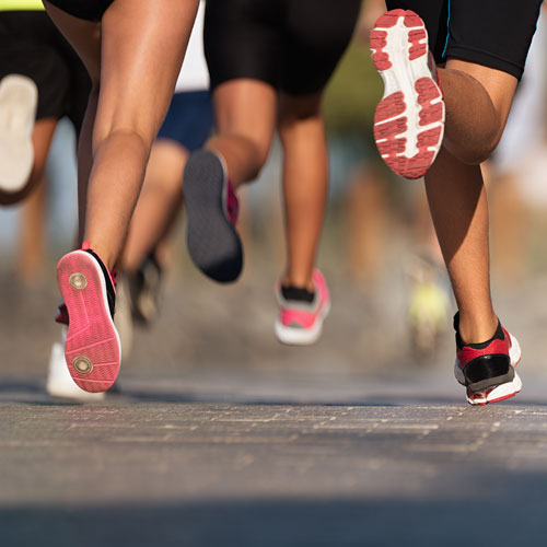 Activités sportives